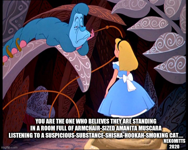 You Are The One Imgflip