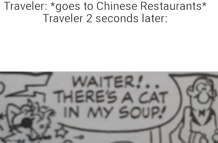 Waiter! There's a cat in my soup! Imgflip