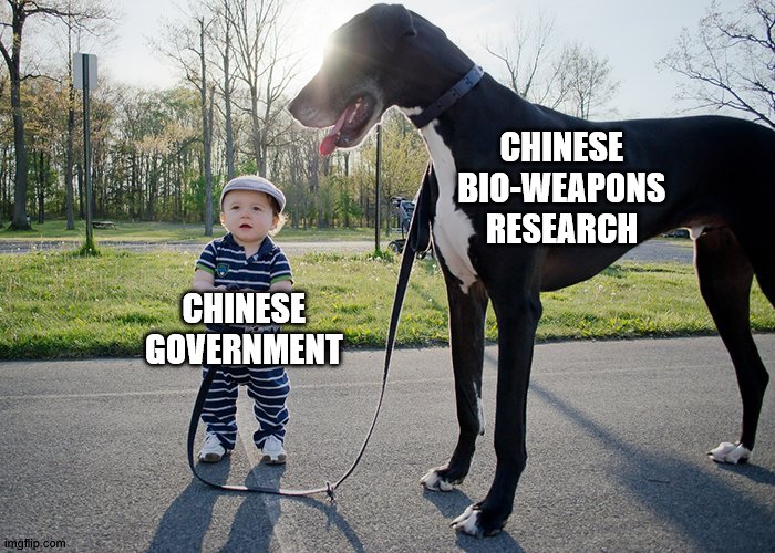 don't play with the big dogs Imgflip