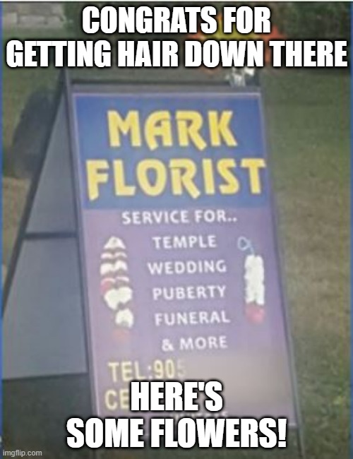 Bleeding Orchids I Bet Imgflip