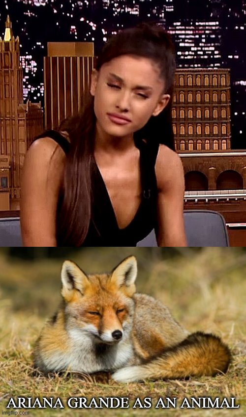 Image tagged in ariana grande Imgflip