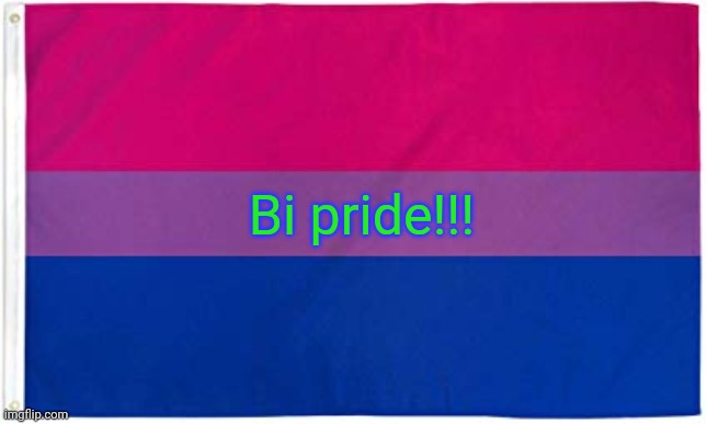 Image tagged in bisexual flag Imgflip