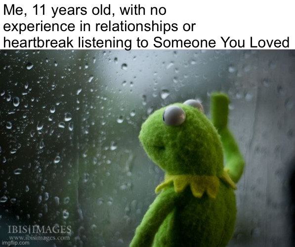 kermit window Imgflip