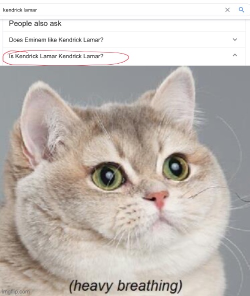 Image tagged in heavy breathing cat Imgflip