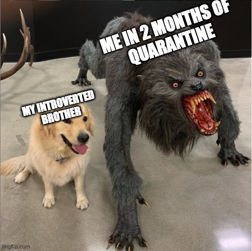 dog vs werewolf Imgflip