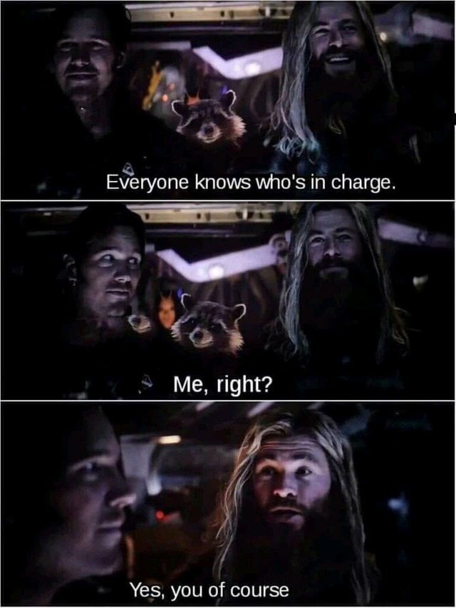 avengers end game everybody knows whos in charge template Blank