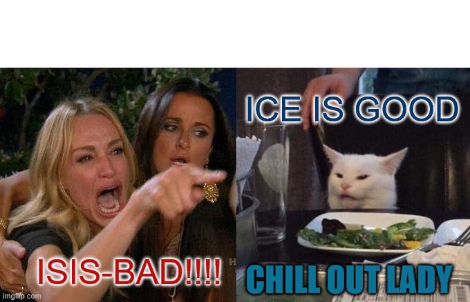 Woman Yelling At Cat Meme Imgflip