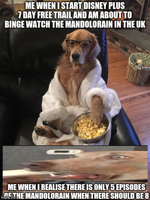 Disney Plus Dog Imgflip