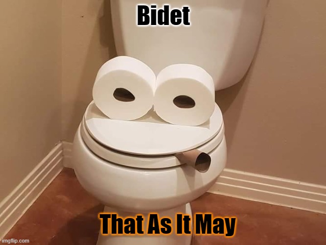 Image tagged in poop,shit,puns,toilet,toilet paper,bidet Imgflip