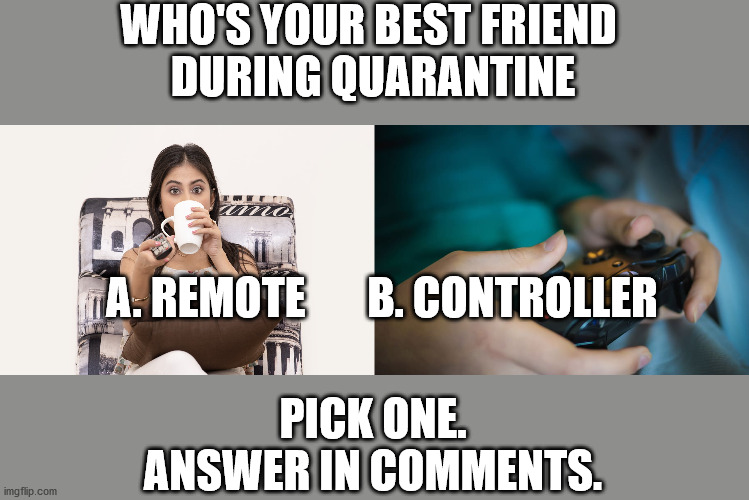 who's your best friend during quarantine Imgflip