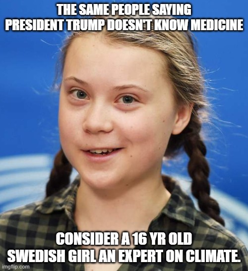 Greta Thunberg Memes Imgflip