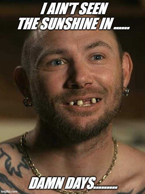 Image tagged in tiger king john finlay Imgflip