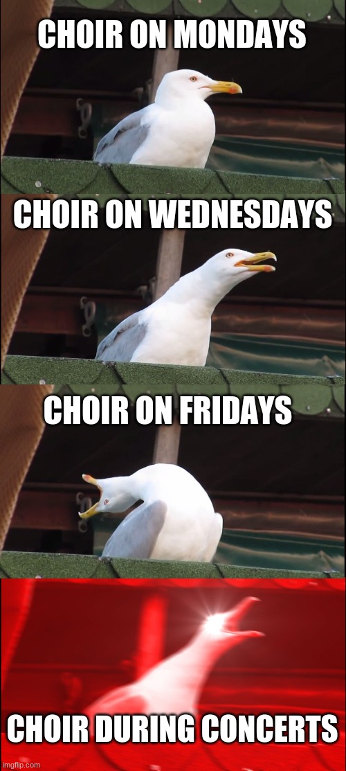 Inhaling Seagull Meme Imgflip