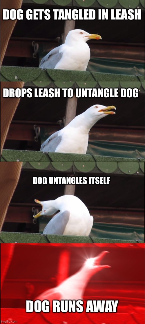Inhaling Seagull Meme Imgflip