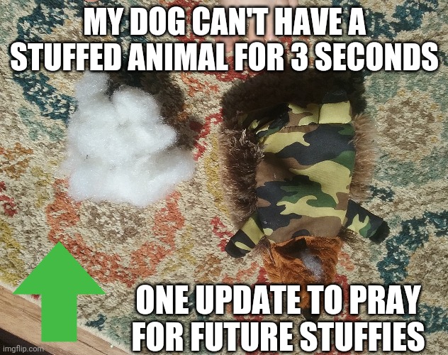 Image tagged in save the stuffies Imgflip