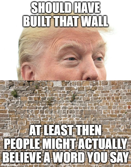 Trump Wall Imgflip
