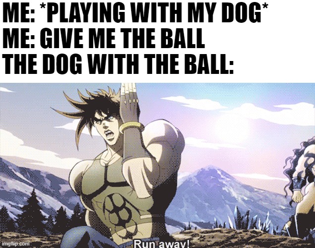 Why Does My Dog Run Away With The Ball