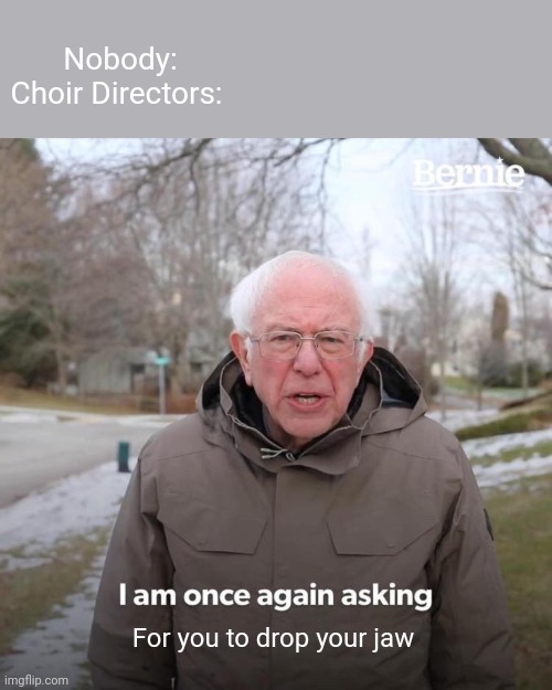 Bernie I Am Once Again Asking For Your Support Meme Imgflip