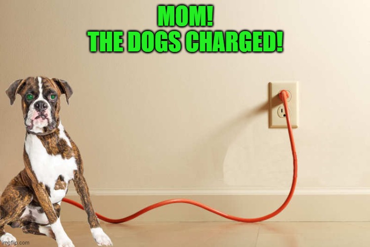 dog charger Imgflip