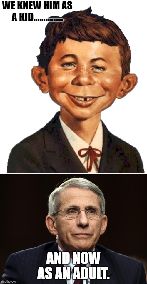 Image tagged in totally looks like Imgflip