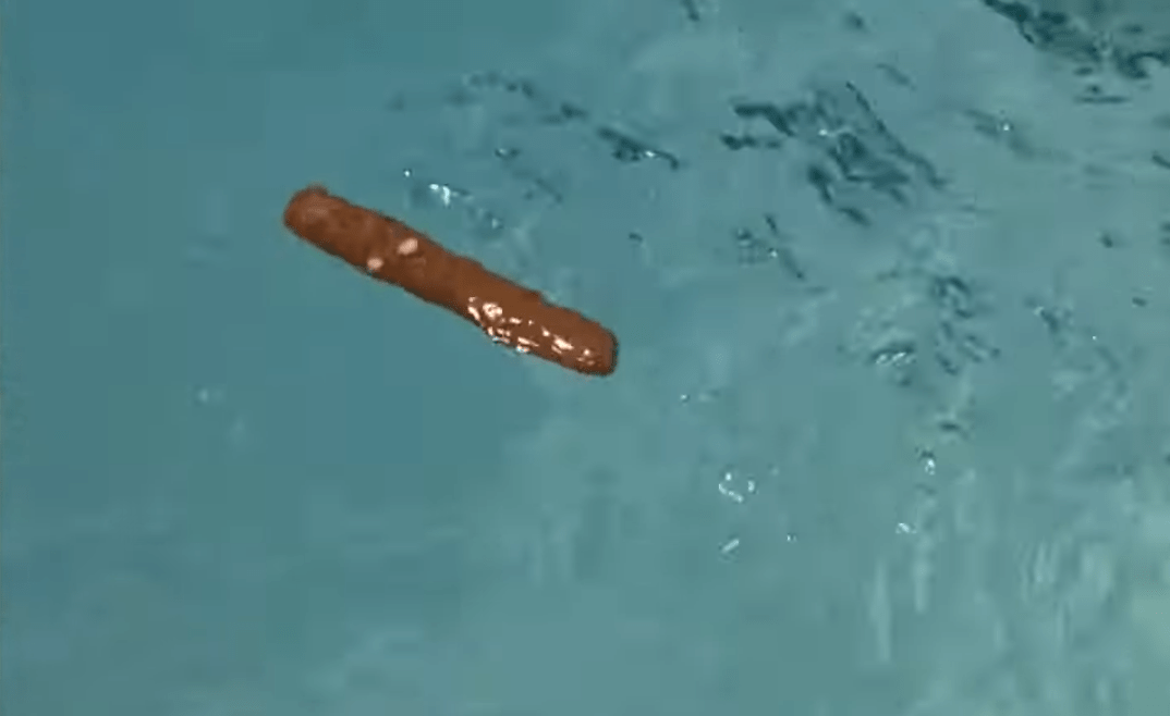 Caddyshack Blank Template Imgflip