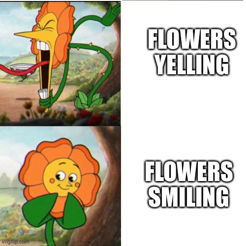 Cuphead Flower Imgflip