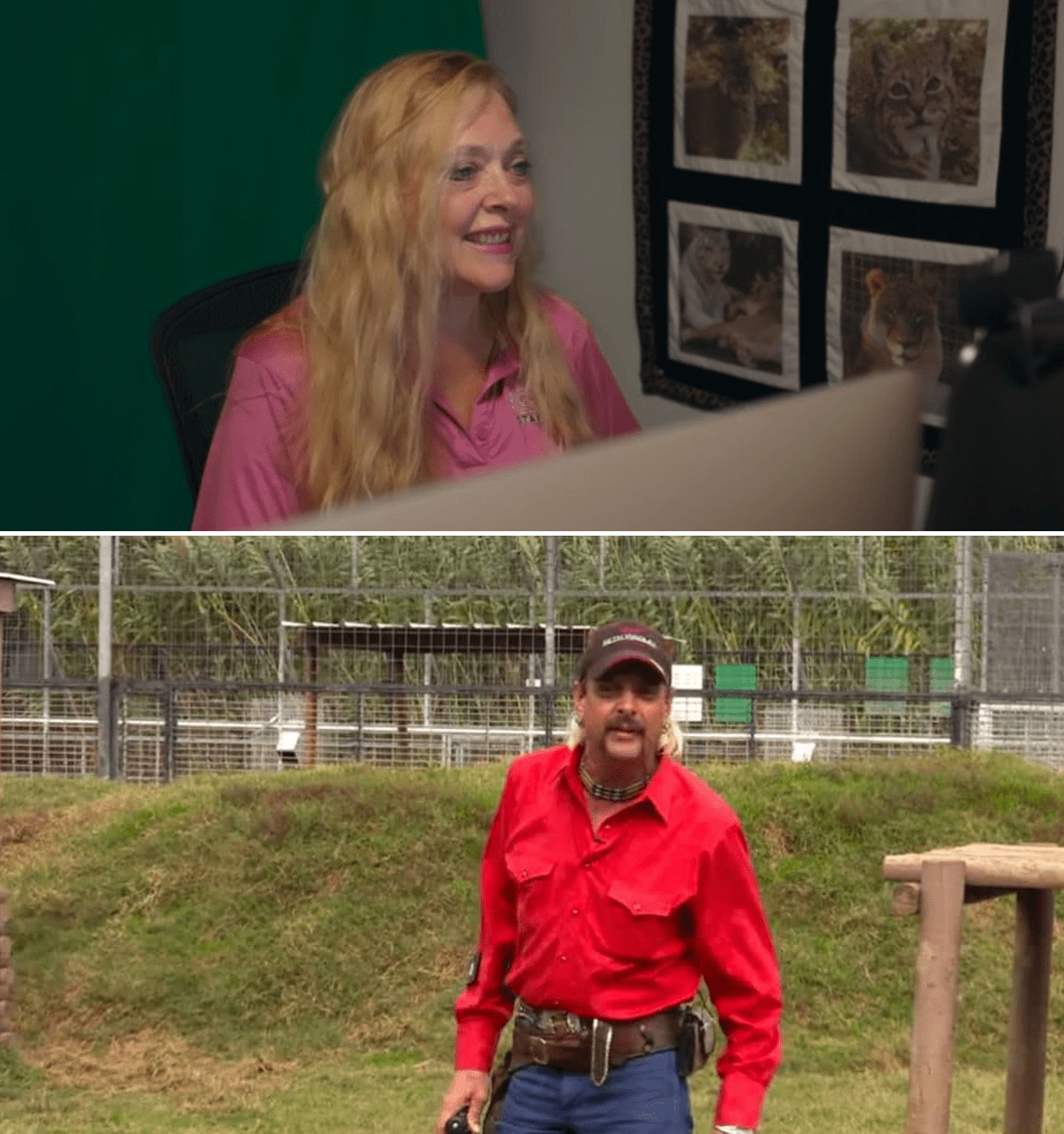 Carole Baskin vs Joe Exotic Blank Template Imgflip