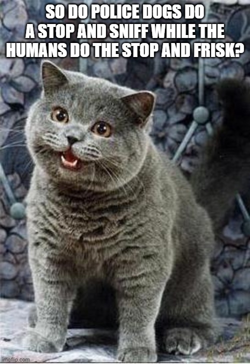 Inquiring minds wanna know Imgflip