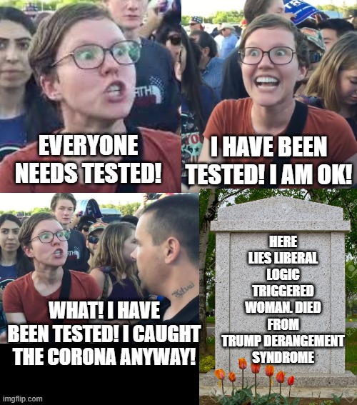 Everyone Needs Testing! Here Lies Liberal Logic Triggered Woman! Imgflip