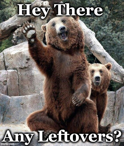 Image tagged in bear Imgflip