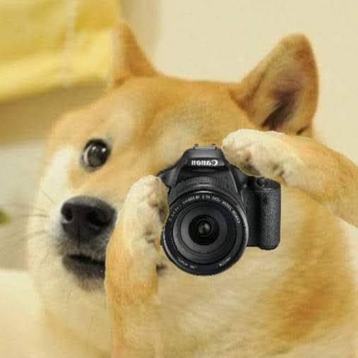 Doge camera Blank Template Imgflip