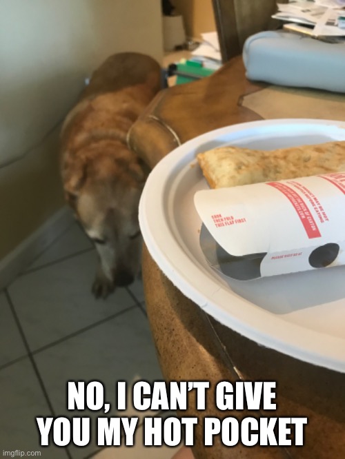 Can Dogs Eat Hot Pockets