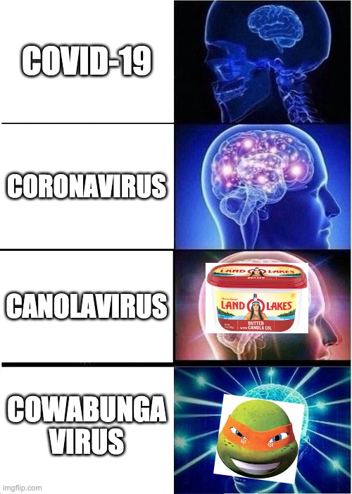 virus names Imgflip