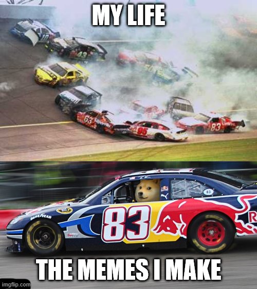 Image tagged in memes,because race car,race car doge Imgflip