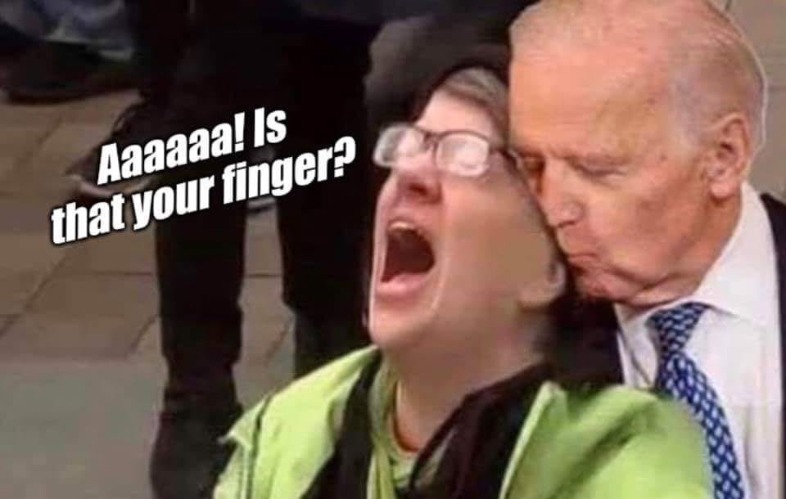 MeToo = Pound Me Too Joe Biden Imgflip