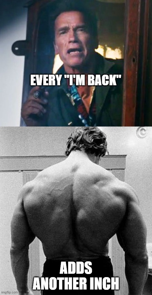 Arnold Back Imgflip
