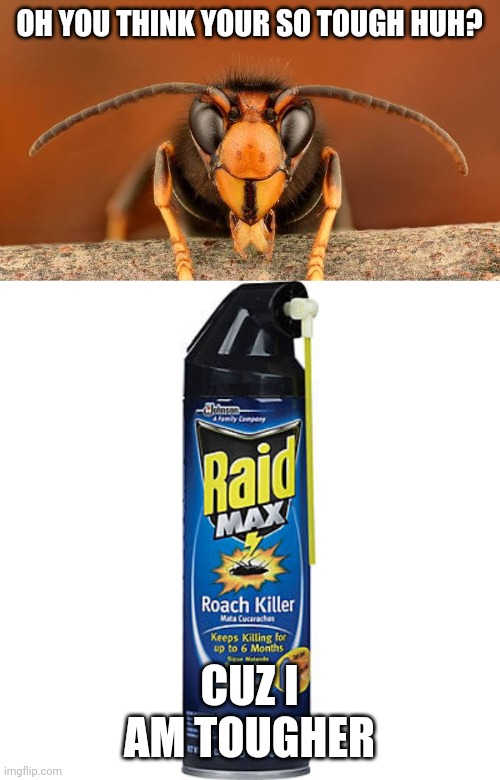 Can die from bug spray? Imgflip
