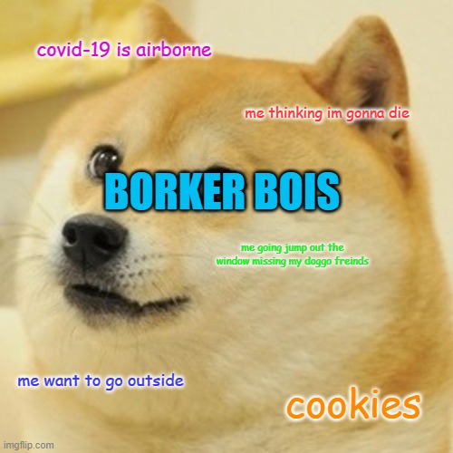 Doge Meme Imgflip