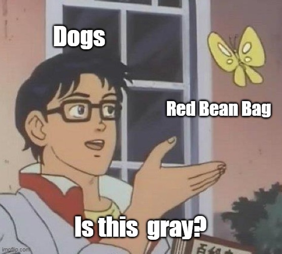 Is this ____ Imgflip