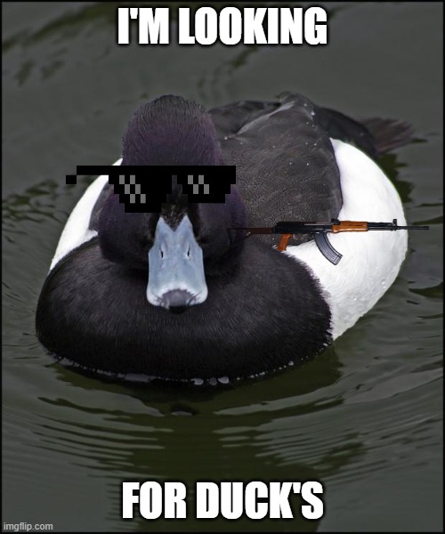 Angry duck Imgflip