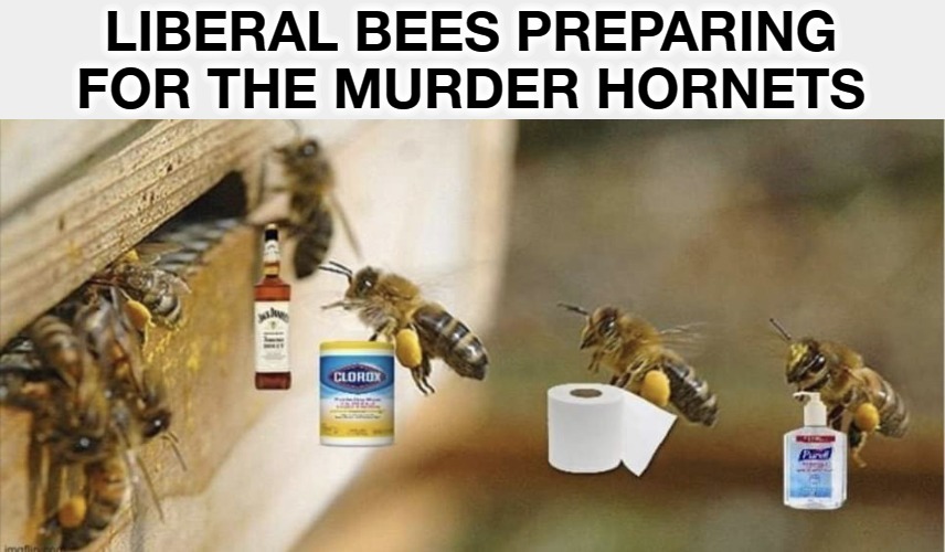 Liberal bees preparing for the Murder Imgflip