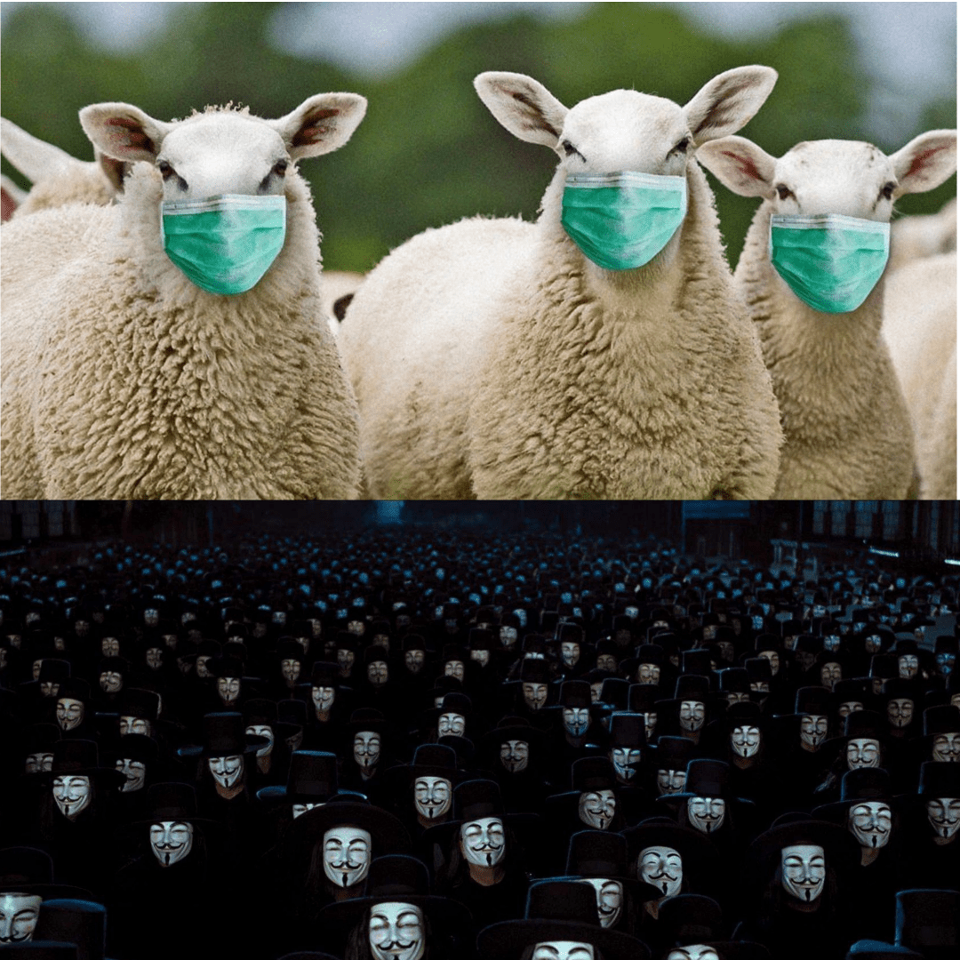 Covid masks Memes Imgflip