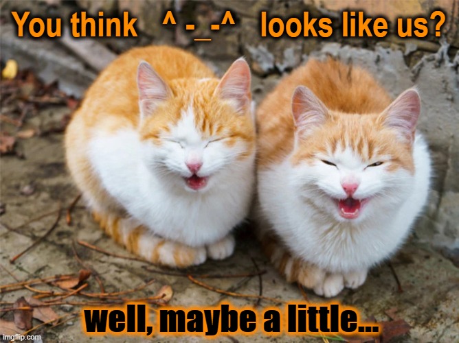 From Your Cat's Own Mouth... Imgflip