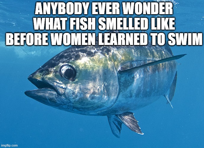 Tuna fish Imgflip