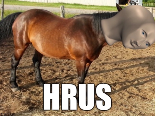 My new template, the meme man horse Imgflip