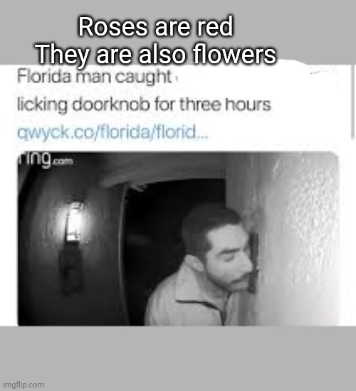Image tagged in memes,roses are red,florida man,funny Imgflip