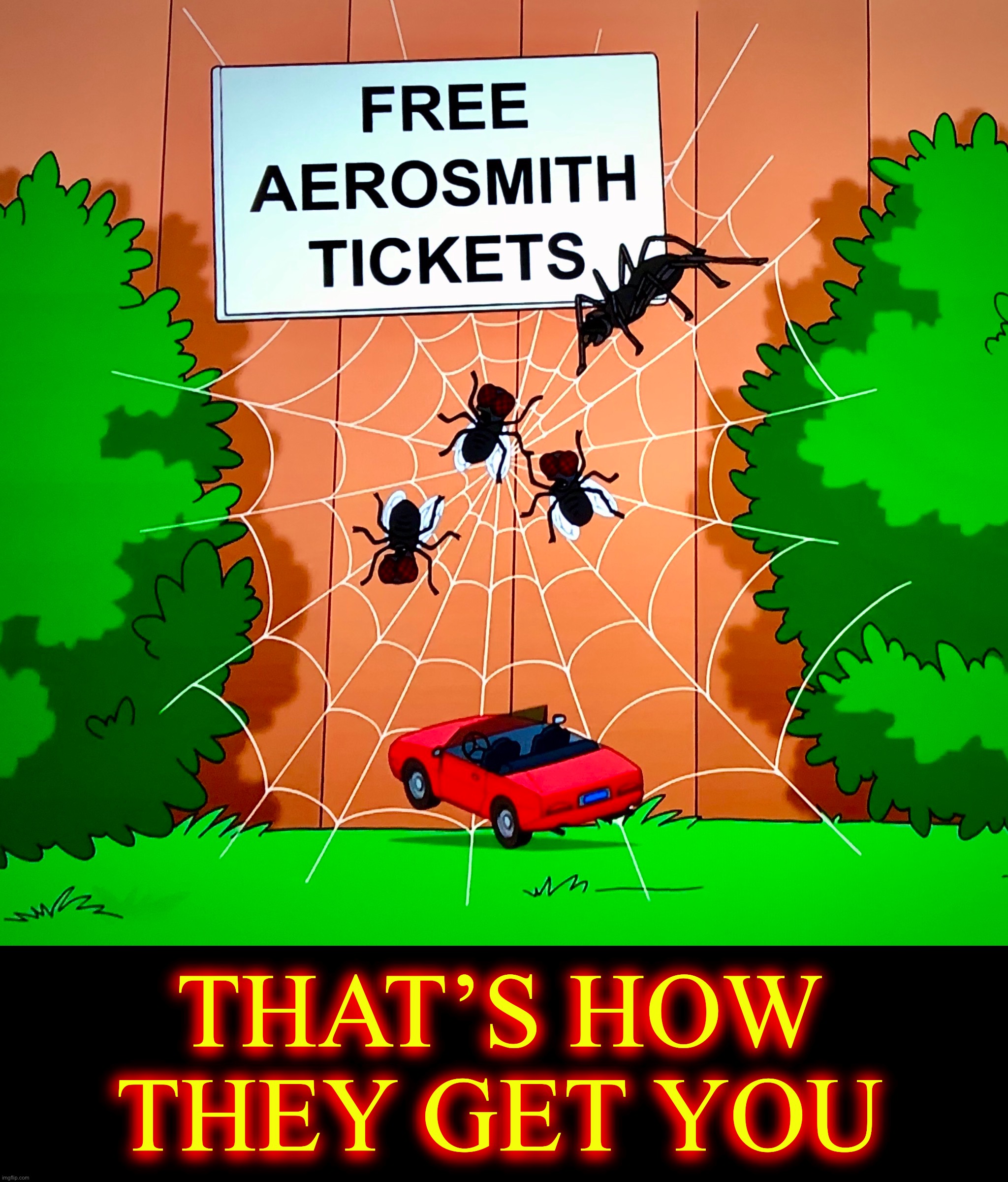Spiders are Smart Imgflip