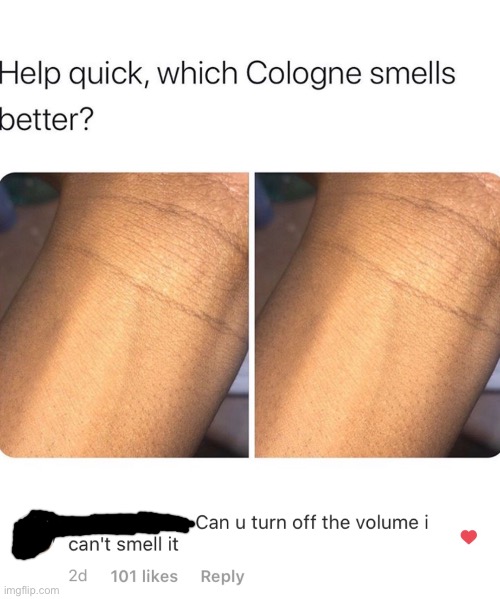 Which one smells better? Imgflip