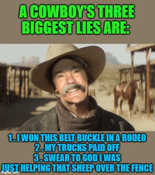 cowboy lies Imgflip