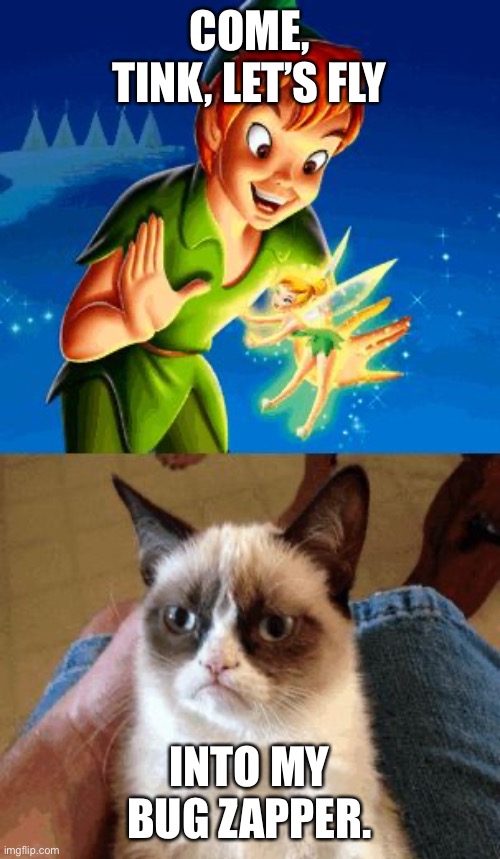 Grumpy Cat Does Not Believe Meme Imgflip